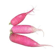 Image result for Rettich