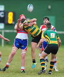 Image result for Wellingborough Rfc