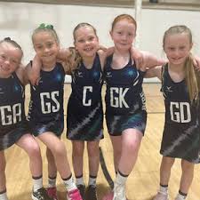 Image result for Wyvern Ladies Netball Club