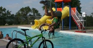 Image result for biker fox