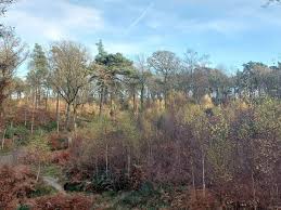 Image result for Ramblers Association - Mole Valley Group