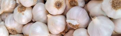 Résultat de recherche d'images pour "Allium fistulosum"