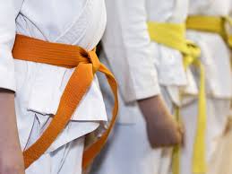 Image result for Haxby karate club