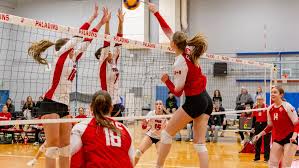 Image result for York University Volleyball Club