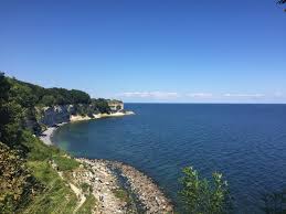 Image result for stevns klint