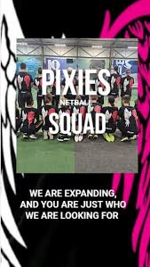 Image result for Erewash pixies netball club