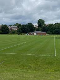Image result for Horwich St Marys Junior F C