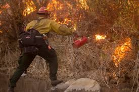 Image result for Hotshots