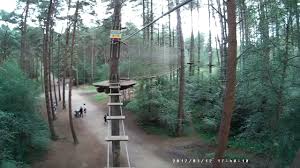 Image result for Go Ape! Moors Valley