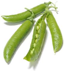 Attēlu rezultāti vaicājumam “Pisum sativum”