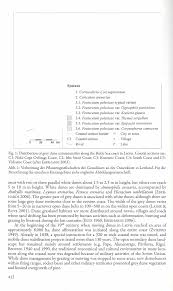 Attēlu rezultāti vaicājumam “Populus x lettland”