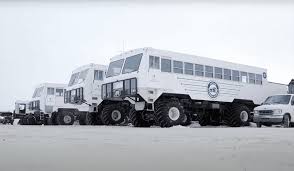 Image result for tundra buggy