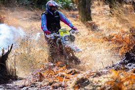 Image result for Witley & District M C C