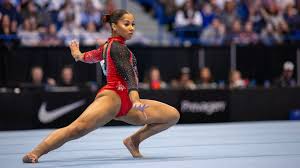 Image result for Focus Institute of Gymnastics