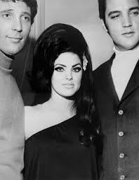 Attēlu rezultāti vaicājumam “Licea pusilla young”