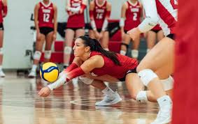 Image result for York University Volleyball Club