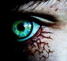 images?q=tbn:ANd9GcTtaCdiDe7_qqX4frhXhUb5B49i04mH6JO5sLq-kT0hxBlWwjMz