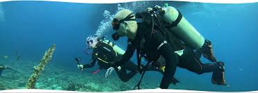 Image result for Droylsden Sub Aqua Club