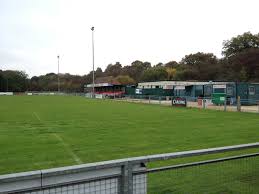 Image result for Redhill Girls Football Club