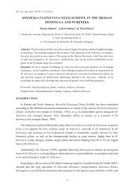 Attēlu rezultāti vaicājumam “Moerckia hibernica”