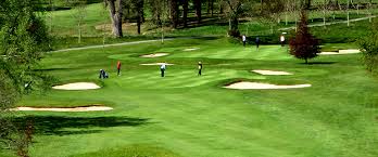 Image result for Carlow Golf Club