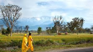 Image result for himachal pradesh