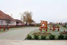 Image result for sényő