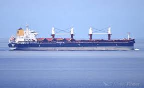 Image result for owl ship