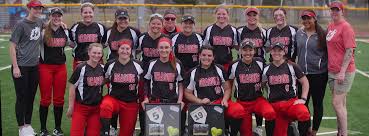 Image result for Dragons Softball Club