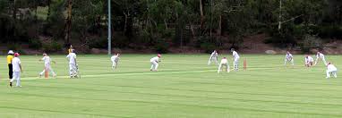 Image result for St James casuals cricket club