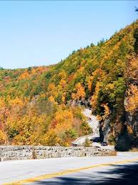 Image result for $$fall_akte__ort$$