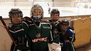 Image result for Vipers Roller Hockey Team