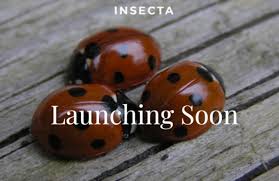 Attēlu rezultāti vaicājumam “Insecta”