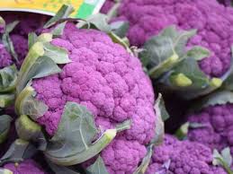 Image result for Blumenkohl