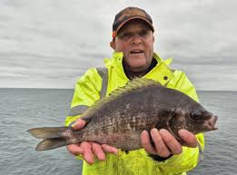 Image result for Ilfracombe Orcas Octopush Club