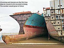 Image result for alang