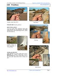 Attēlu rezultāti vaicājumam “Turdus pilaris adult”