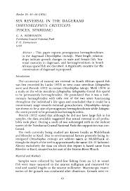 Image result for Chrysoblephus cristiceps