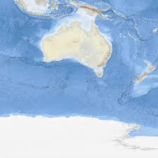 Image result for Vazella pourtalesii