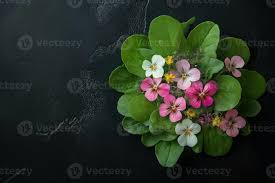 Attēlu rezultāti vaicājumam “Viola tricolor leaf”