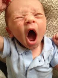 Image result for geeuw