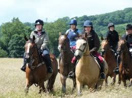 Image result for Bookham Riding School