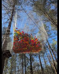 Image result for Go Ape! Alice Holt