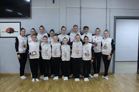 Image result for Spelthorne School Of Gymnastics