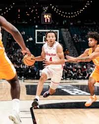 Image result for Kingston Wildcats Basketball Club