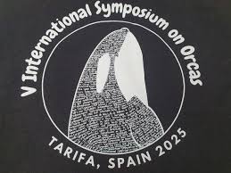 Image result for Ilfracombe Orcas Octopush Club