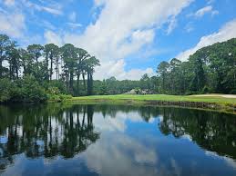 Image result for Dolphina Gc