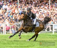 Image result for Greenacre Badminton Club