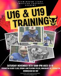 Image result for Birmingham University Lions