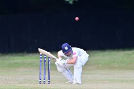 Image result for Wellingborough Town Cc